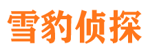 横山寻人公司